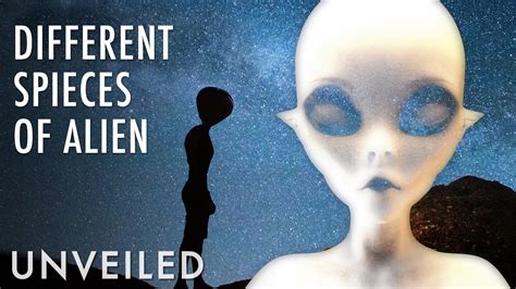 alienette|types of aliens.